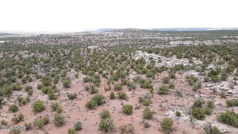 Tiny photo for 9133 Ridge View Lane, Snowflake, AZ 85937 (MLS # 259064)