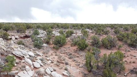 Tiny photo for 9133 Ridge View Lane, Snowflake, AZ 85937 (MLS # 259064)