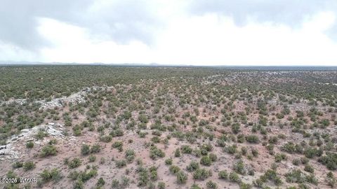 Tiny photo for 9133 Ridge View Lane, Snowflake, AZ 85937 (MLS # 259064)