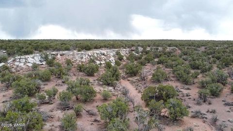 Tiny photo for 9133 Ridge View Lane, Snowflake, AZ 85937 (MLS # 259064)