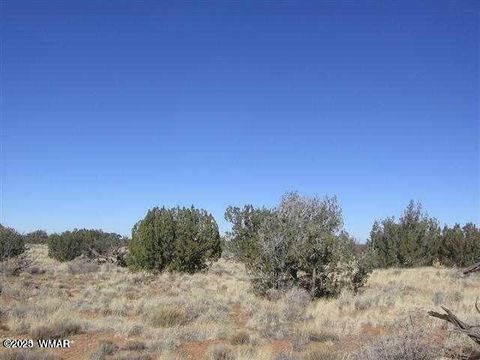 Tiny photo for 6322 Dry Pasture Run, Heber, AZ 85928 (MLS # 257598)