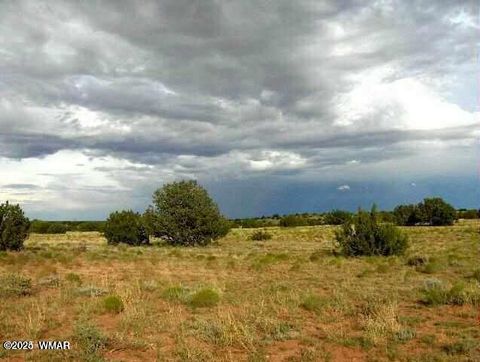 Tiny photo for 6322 Dry Pasture Run, Heber, AZ 85928 (MLS # 257598)