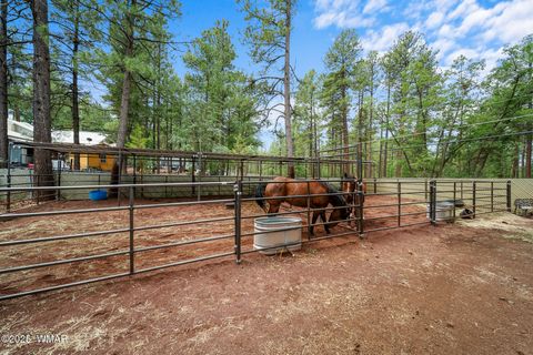 Tiny photo for 790 S Juniper Lane, Pinetop, AZ 85935 (MLS # 258752)