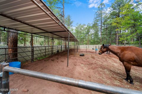 Tiny photo for 790 S Juniper Lane, Pinetop, AZ 85935 (MLS # 258752)