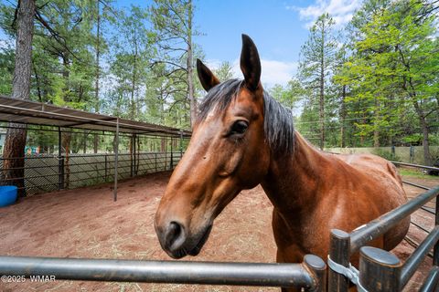 Tiny photo for 790 S Juniper Lane, Pinetop, AZ 85935 (MLS # 258752)