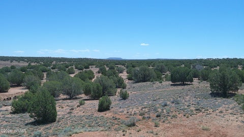 Tiny photo for 30 N9220, Concho, AZ 85924 (MLS # 261076)