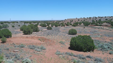 Tiny photo for 30 N9220, Concho, AZ 85924 (MLS # 261076)