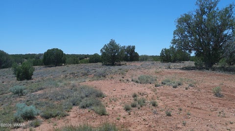 Tiny photo for 30 N9220, Concho, AZ 85924 (MLS # 261076)