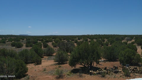 Tiny photo for 30 N9220, Concho, AZ 85924 (MLS # 261076)