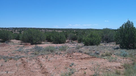 Tiny photo for 30 N9220, Concho, AZ 85924 (MLS # 261076)