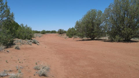 Tiny photo for 30 N9220, Concho, AZ 85924 (MLS # 261076)