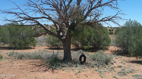 Tiny photo for 30 N9220, Concho, AZ 85924 (MLS # 261076)
