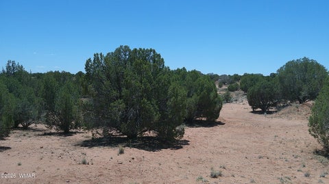 Tiny photo for 30 N9220, Concho, AZ 85924 (MLS # 261076)