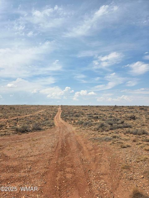 Tiny photo for 8317 Buckskin Trail, Snowflake, AZ 85937 (MLS # 257500)