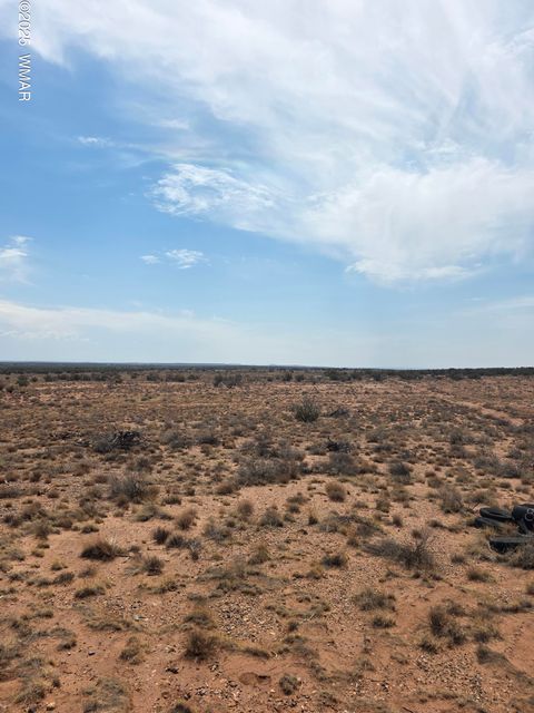 Photo of 8317 Buckskin Trail, Snowflake, AZ 85937 (MLS # 257500)