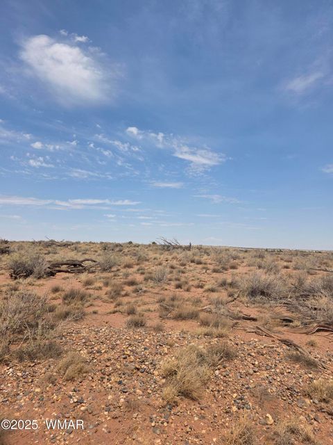 Tiny photo for 8317 Buckskin Trail, Snowflake, AZ 85937 (MLS # 257500)