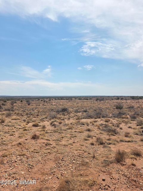 Tiny photo for 8317 Buckskin Trail, Snowflake, AZ 85937 (MLS # 257500)