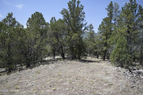 Tiny photo for TBD CR 2276, Nutrioso, AZ 85932 (MLS # 248080)