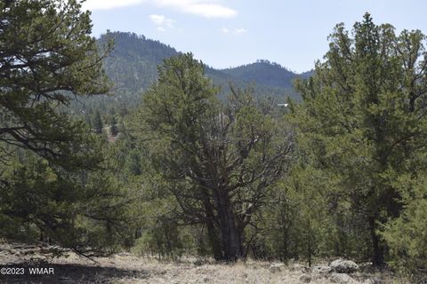 Tiny photo for TBD CR 2276, Nutrioso, AZ 85932 (MLS # 248080)