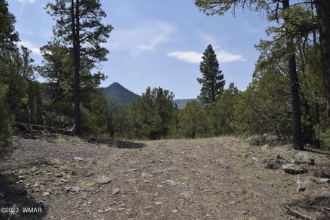 Tiny photo for TBD CR 2276, Nutrioso, AZ 85932 (MLS # 248080)