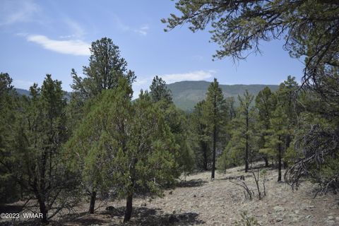 Tiny photo for TBD CR 2276, Nutrioso, AZ 85932 (MLS # 248080)
