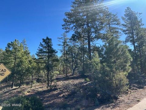 Tiny photo for 1901 S Little Creek Court, Show Low, AZ 85901 (MLS # 258216)