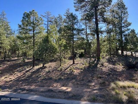 Tiny photo for 1901 S Little Creek Court, Show Low, AZ 85901 (MLS # 258216)