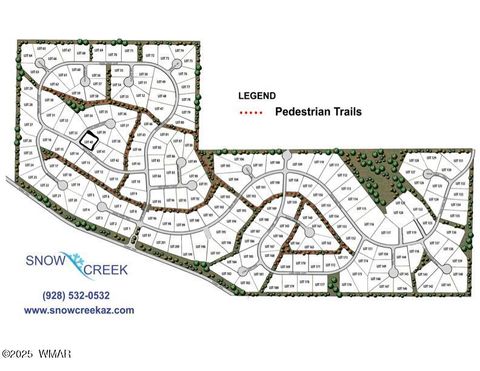 Tiny photo for 1901 S Little Creek Court, Show Low, AZ 85901 (MLS # 258216)