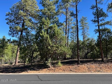 Photo of 1901 S Little Creek Court, Show Low, AZ 85901 (MLS # 258216)