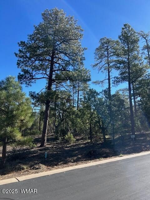 Tiny photo for 1901 S Little Creek Court, Show Low, AZ 85901 (MLS # 258216)