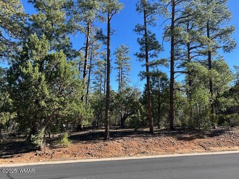 Tiny photo for 1901 S Little Creek Court, Show Low, AZ 85901 (MLS # 258216)