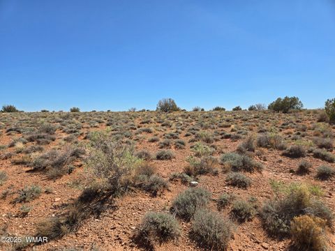 Tiny photo for 7761 & 7809 Miller Trail, Snowflake, AZ 85937 (MLS # 256554)