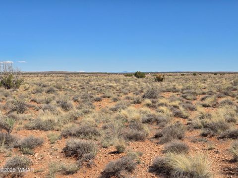 Tiny photo for 7761 & 7809 Miller Trail, Snowflake, AZ 85937 (MLS # 256554)
