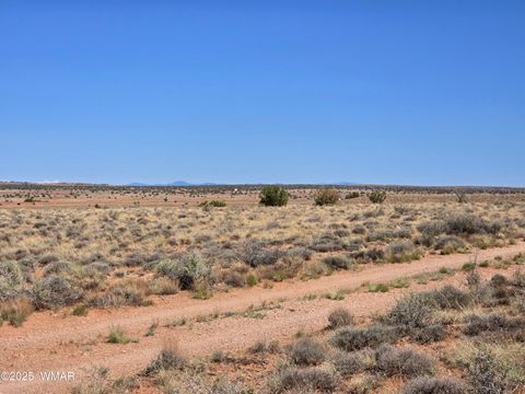 Tiny photo for 7761 & 7809 Miller Trail, Snowflake, AZ 85937 (MLS # 256554)