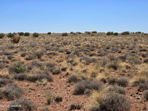 Tiny photo for 7761 & 7809 Miller Trail, Snowflake, AZ 85937 (MLS # 256554)