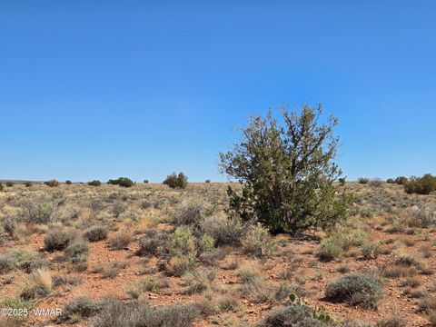 Tiny photo for 7761 & 7809 Miller Trail, Snowflake, AZ 85937 (MLS # 256554)