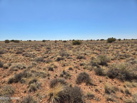 Tiny photo for 7761 & 7809 Miller Trail, Snowflake, AZ 85937 (MLS # 256554)