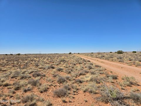 Tiny photo for 7761 & 7809 Miller Trail, Snowflake, AZ 85937 (MLS # 256554)