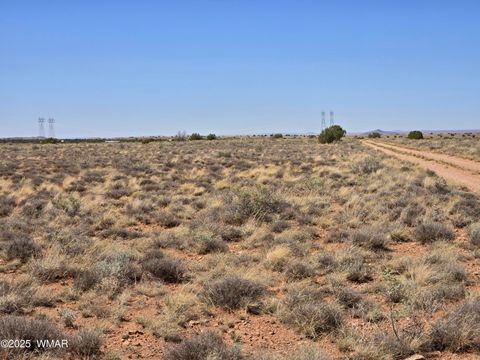 Tiny photo for 7761 & 7809 Miller Trail, Snowflake, AZ 85937 (MLS # 256554)