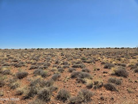 Tiny photo for 7761 & 7809 Miller Trail, Snowflake, AZ 85937 (MLS # 256554)