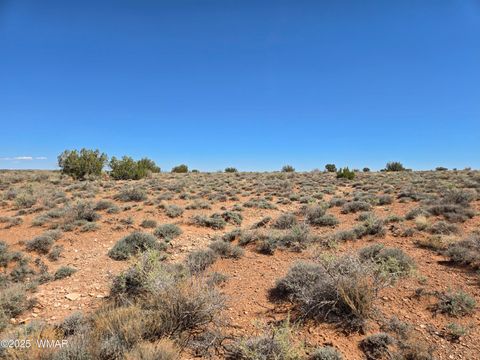 Tiny photo for 7761 & 7809 Miller Trail, Snowflake, AZ 85937 (MLS # 256554)