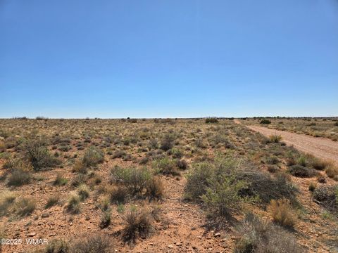 Tiny photo for 7761 & 7809 Miller Trail, Snowflake, AZ 85937 (MLS # 256554)