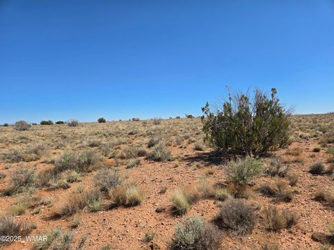 Tiny photo for 7761 & 7809 Miller Trail, Snowflake, AZ 85937 (MLS # 256554)