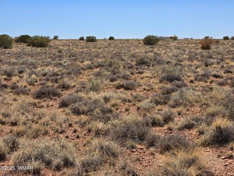 Tiny photo for 7761 & 7809 Miller Trail, Snowflake, AZ 85937 (MLS # 256554)