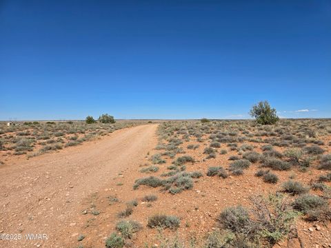 Tiny photo for 7761 & 7809 Miller Trail, Snowflake, AZ 85937 (MLS # 256554)