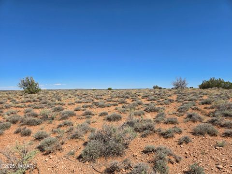 Tiny photo for 7761 & 7809 Miller Trail, Snowflake, AZ 85937 (MLS # 256554)