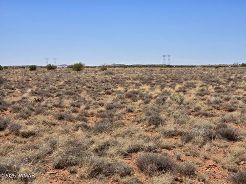 Tiny photo for 7761 & 7809 Miller Trail, Snowflake, AZ 85937 (MLS # 256554)
