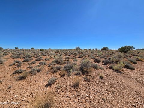 Tiny photo for 7761 & 7809 Miller Trail, Snowflake, AZ 85937 (MLS # 256554)
