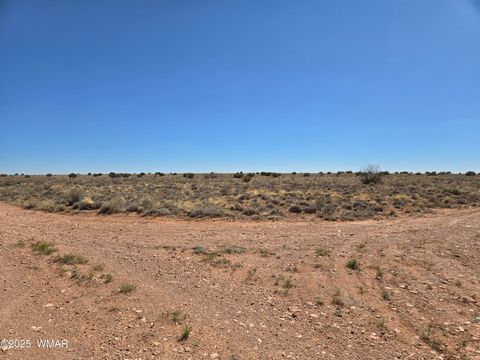 Tiny photo for 7761 & 7809 Miller Trail, Snowflake, AZ 85937 (MLS # 256554)