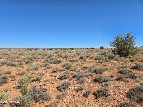 Tiny photo for 7761 & 7809 Miller Trail, Snowflake, AZ 85937 (MLS # 256554)